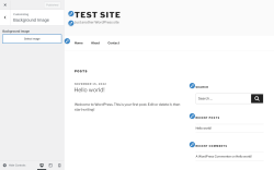 Page screenshot: Appearance &rarr; Background