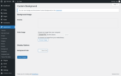 Page screenshot: Appearance &rarr; Background