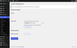 Page screenshot: Appearance &rarr; Background