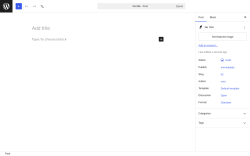 Page screenshot: Add Post &lsaquo; Test site &mdash; WordPress