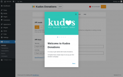 Page screenshot: Donations