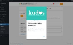 Page screenshot: Donations