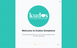 Page screenshot: Donations