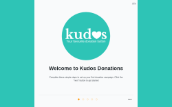 Page screenshot: Donations