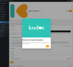 Page screenshot: Donations &rarr; Settings