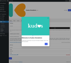 Page screenshot: Donations &rarr; Settings