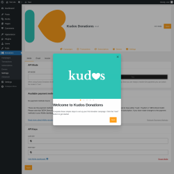 Page screenshot: Donations &rarr; Settings
