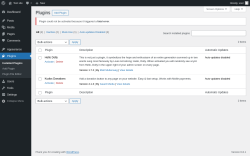 Page screenshot: Plugins &lsaquo; Test site &mdash; WordPress