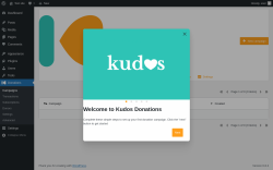 Page screenshot: Donations