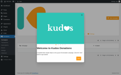 Page screenshot: Donations