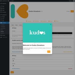 Page screenshot: Donations &rarr; Settings