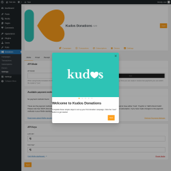 Page screenshot: Donations &rarr; Settings