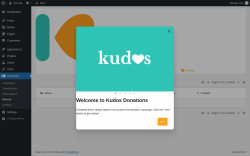 Page screenshot: Donations &rarr; Donors