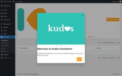 Page screenshot: Donations