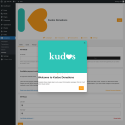 Page screenshot: Donations &rarr; Settings