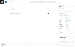 Page screenshot: Add Post &lsaquo; Test site &mdash; WordPress