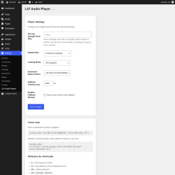 Page screenshot: Settings &rarr; L47 Audio Player