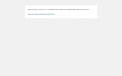 Page screenshot: WordPress › Error
