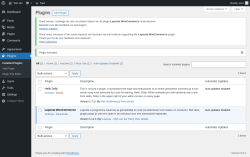 Page screenshot: Plugins &lsaquo; Test site &mdash; WordPress