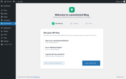 Page screenshot: Launchmind