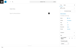 Page screenshot: Add Post ‹ Test site — WordPress