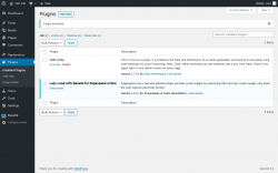 Page screenshot: Plugins &lsaquo; Test site &mdash; WordPress