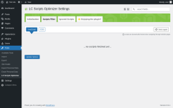 Page screenshot: Tools &rarr; LC Scripts Optimizer &rarr; Scripts Filter