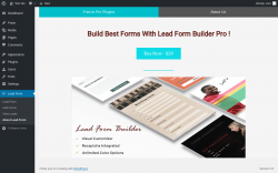 Page screenshot: Lead Form → About Lead From