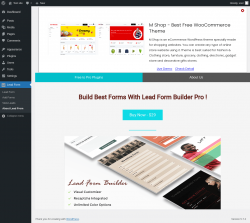 Page screenshot: Lead Form → About Lead From