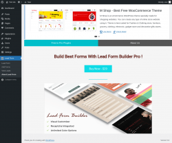 Page screenshot: Lead Form → About Lead From
