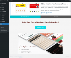 Page screenshot: Lead Form → About Lead From