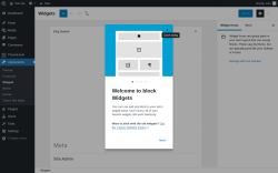 Page screenshot: Widgets ‹ Test site — WordPress