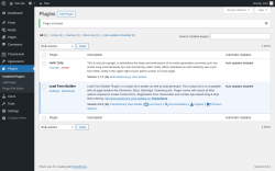 Page screenshot: Plugins ‹ Test site — WordPress