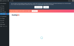 Page screenshot: HubSpot &lsaquo; Test site &mdash; WordPress