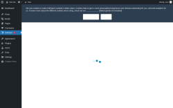 Page screenshot: HubSpot ‹ Test site — WordPress