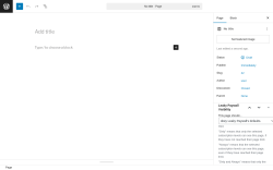 Page screenshot: Add Page ‹ Test site — WordPress