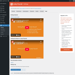 Page screenshot: Leaky Paywall → Help