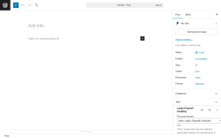 Page screenshot: Add Post ‹ Test site — WordPress