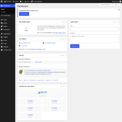 Page screenshot: Dashboard &lsaquo; Test site &mdash; WordPress