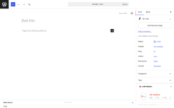 Page screenshot: Add Post &lsaquo; Test site &mdash; WordPress