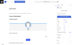 Page screenshot: Courses &rarr; Add New Course