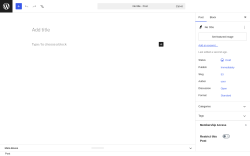 Page screenshot: Add Post &lsaquo; Test site &mdash; WordPress