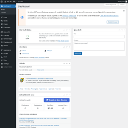 Page screenshot: Dashboard ‹ Test site — WordPress