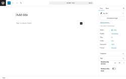 Page screenshot: Add Post ‹ Test site — WordPress