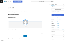 Page screenshot: Courses &rarr; Add New Course
