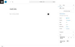 Page screenshot: Add Post &lsaquo; Test site &mdash; WordPress