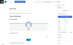 Page screenshot: Courses &rarr; Add New Course