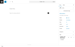 Page screenshot: Add Post ‹ Test site — WordPress