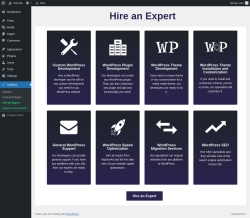 Page screenshot: Lightbox → Hire an Expert