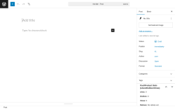 Page screenshot: Add Post ‹ Test site — WordPress